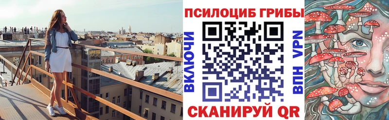 Купить  Белёв  Галлюциногенные грибы Magic Shrooms 